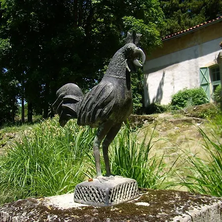 Bed & Breakfast Les Tilleuls Adults Only